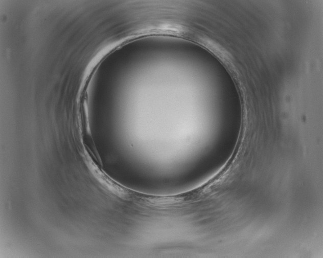 X0000069391200200605121203