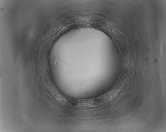 X0000069391201200605121202