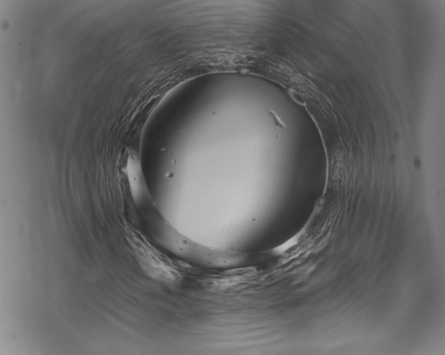 X0000069391202200605121202