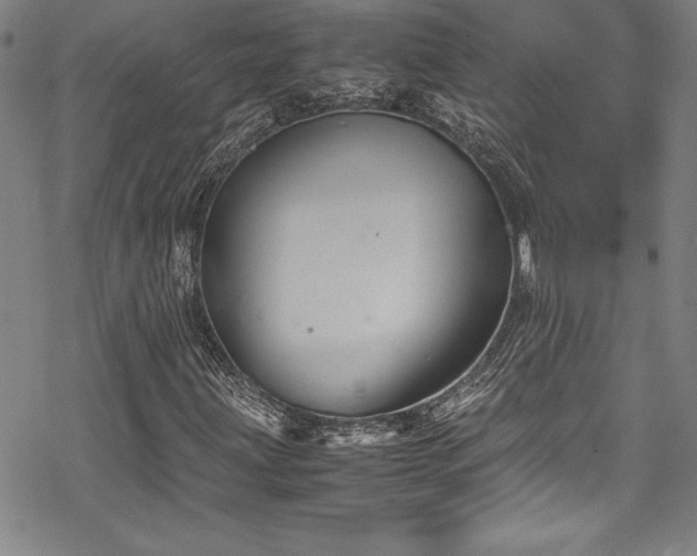 X0000069391203200605121202