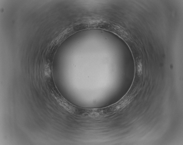 X0000069391204200605121202