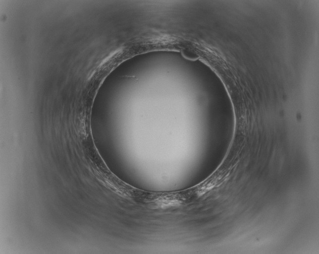 X0000069391205200605121202