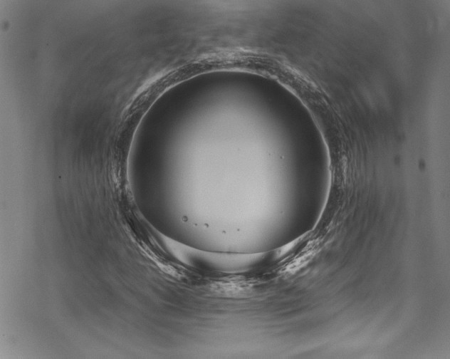 X0000069391206200605121202