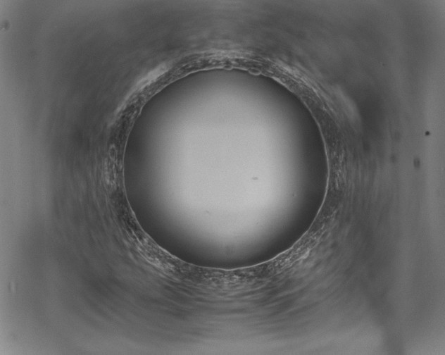 X0000069391207200605121202