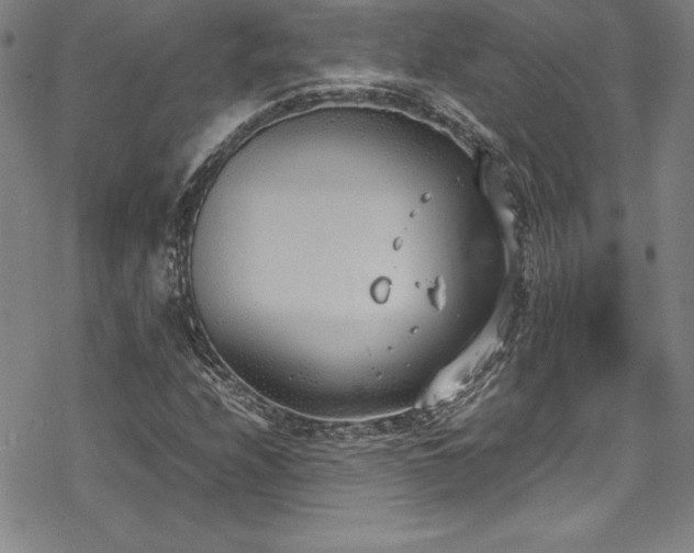 X0000069391208200605121202