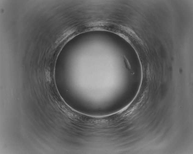 X0000069391209200605121202