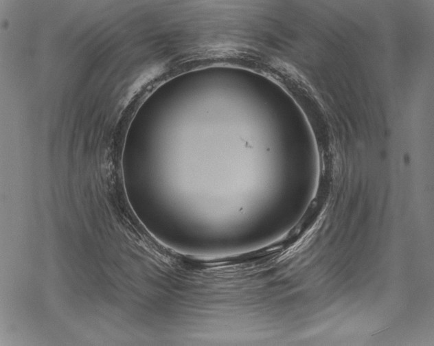 X0000069391210200605121202