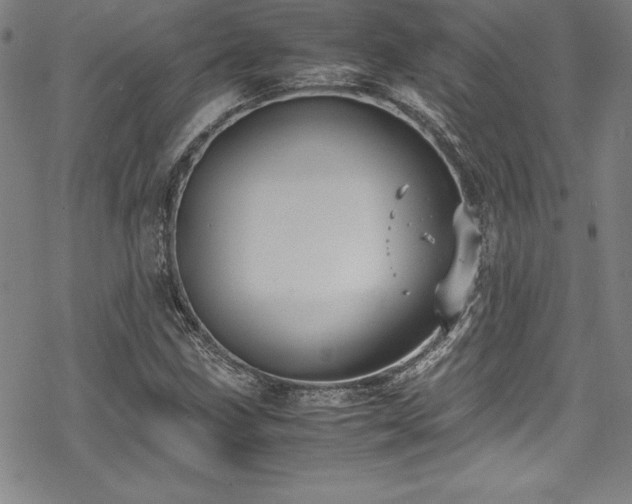 X0000069391211200605121202