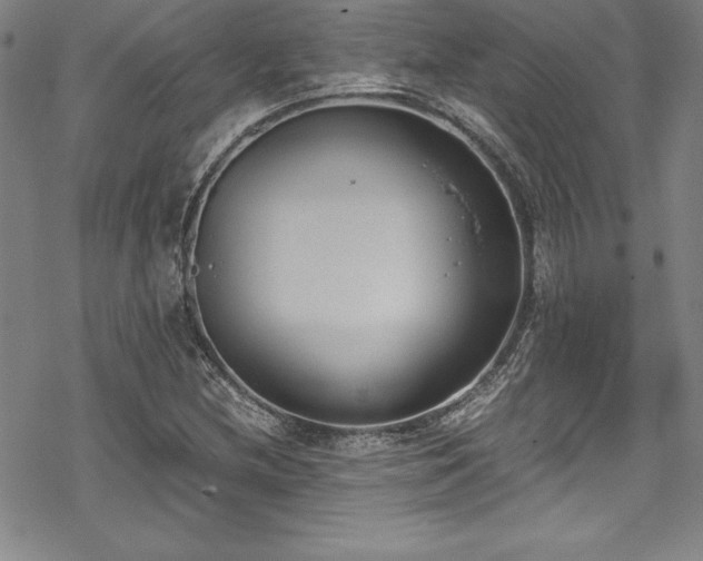 X0000069391212200605121202