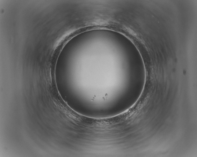 X0000069391214200605121202