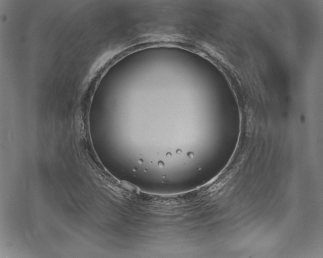 X0000069391215200605121202