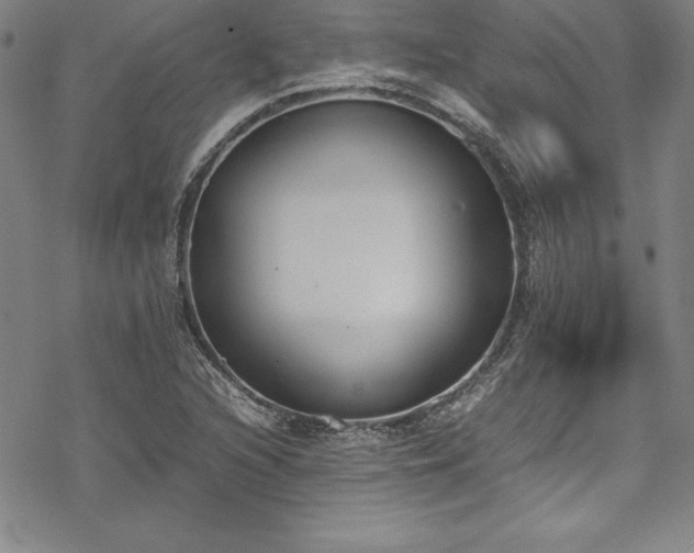 X0000069391216200605121202