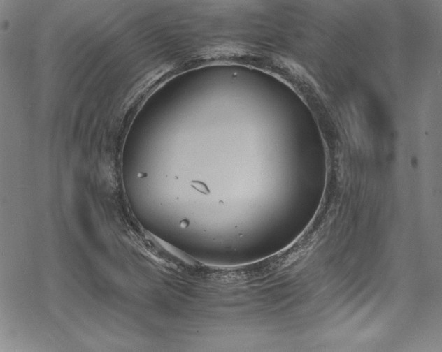 X0000069391217200605121202