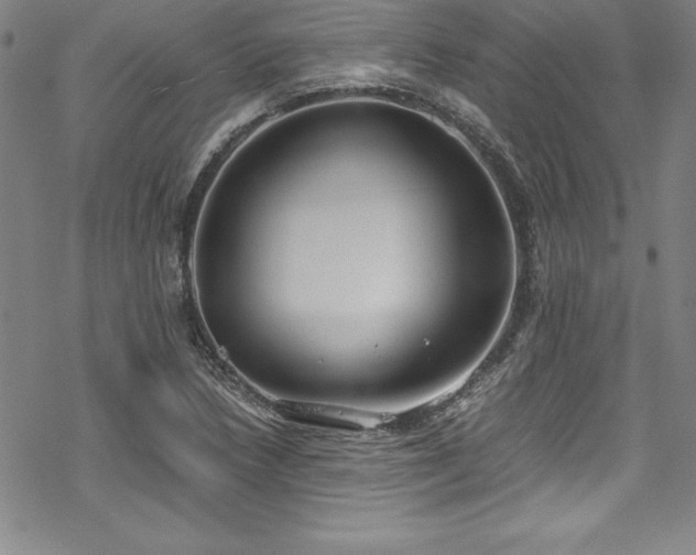 X0000069391218200605121203