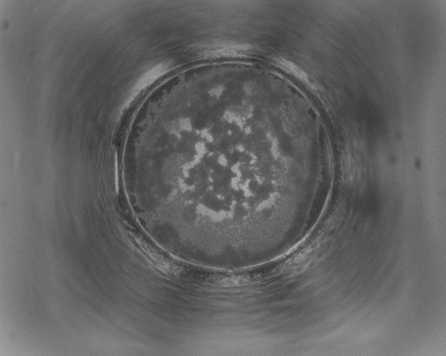 X0000069391219200605121203