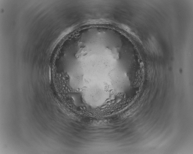 X0000069391221200605121203