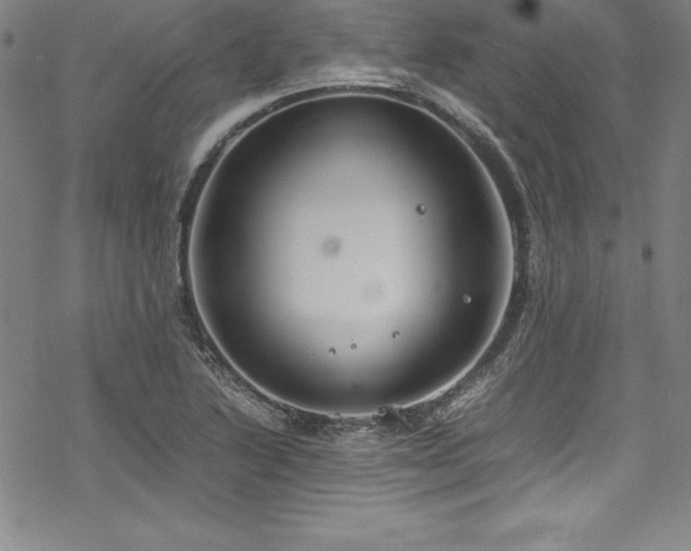 X0000069391222200605121203