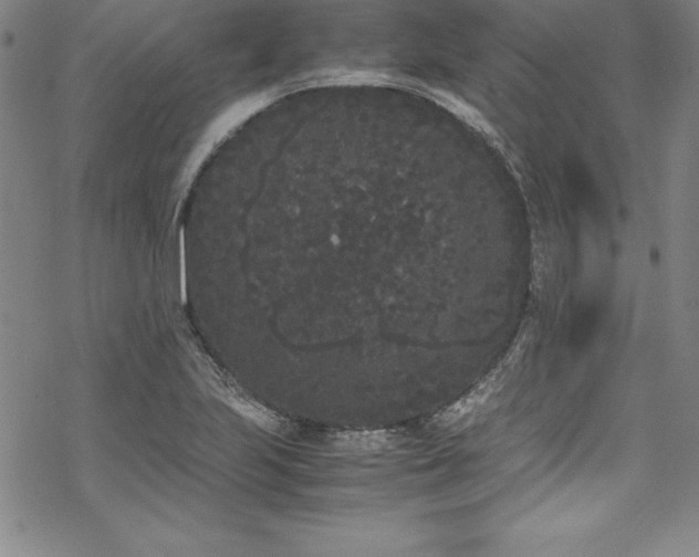 X0000069391223200605121203