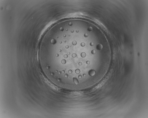 X0000069391224200605121203