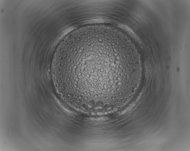 X0000069391225200605121203