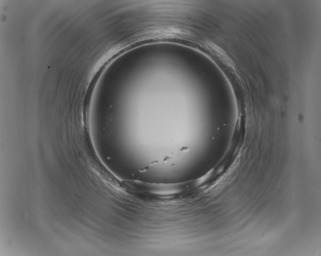 X0000069391226200605121203