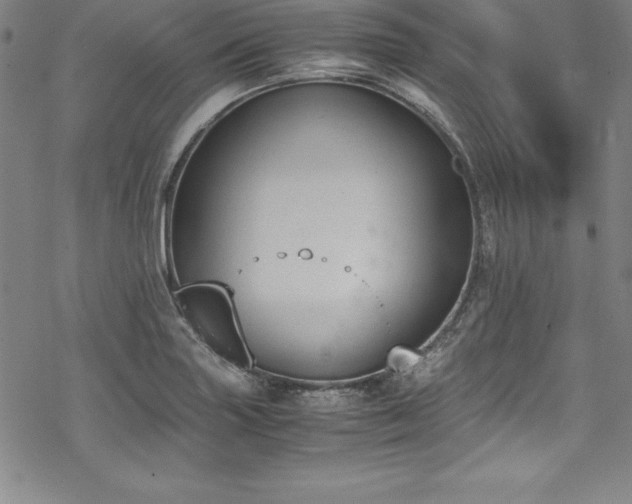 X0000069391227200605121203