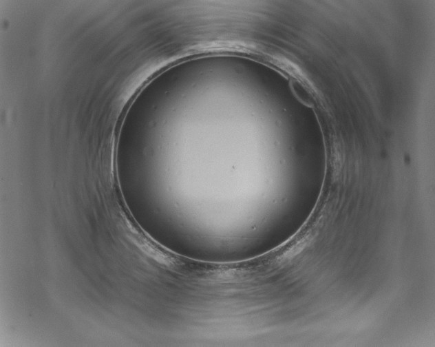 X0000069391228200605121203