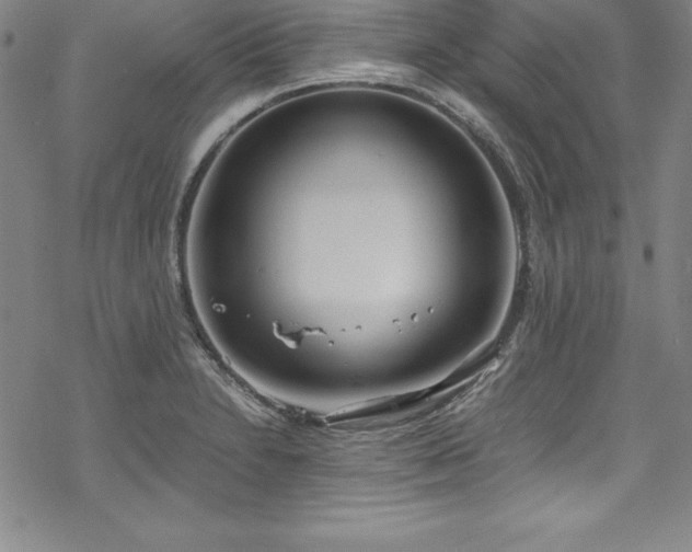 X0000069391230200605121203