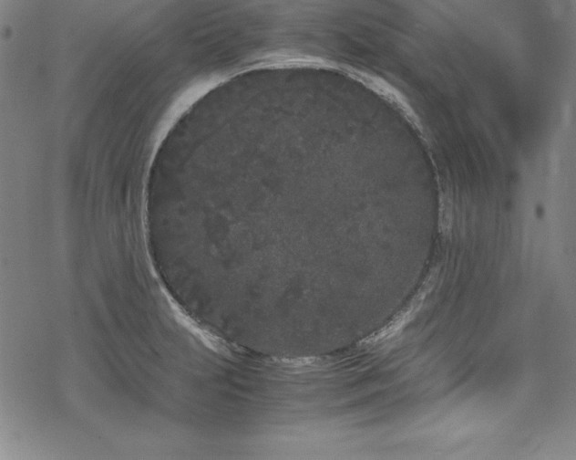 X0000069391231200605121203