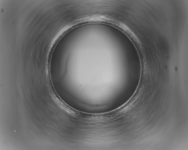 X0000069391232200605121203