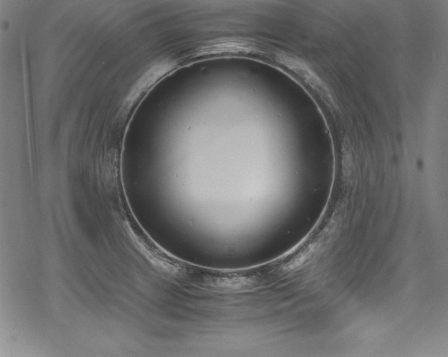 X0000069391233200605121203