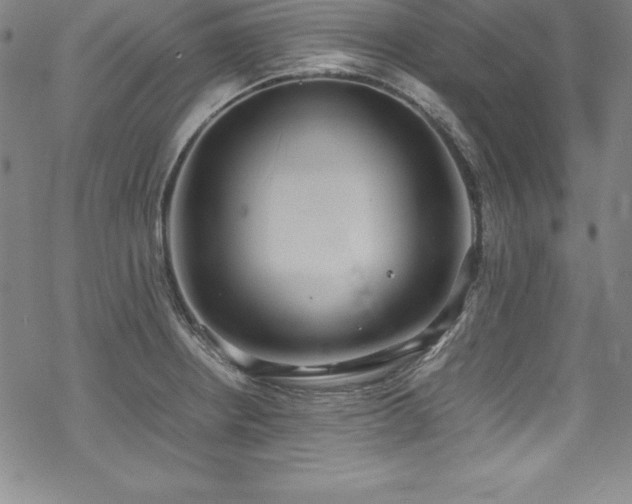 X0000069391234200605121203