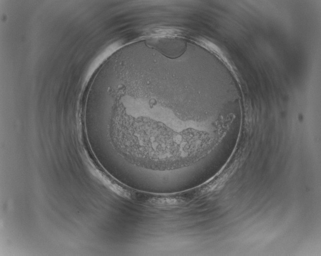 X0000069391235200605121203