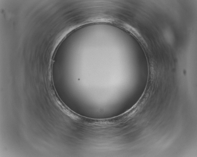 X0000069391236200605121203