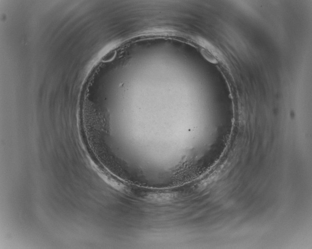 X0000069391237200605121203