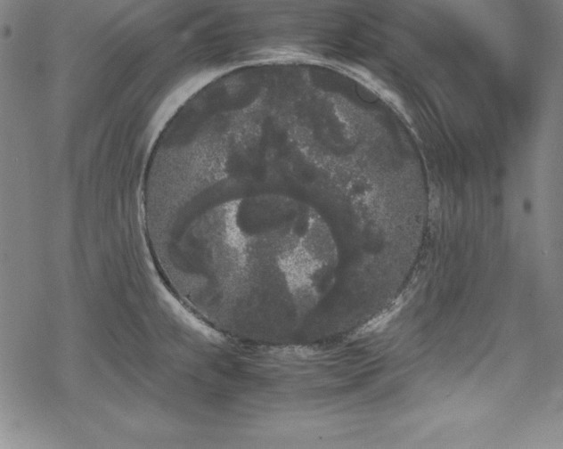 X0000069391239200605121203