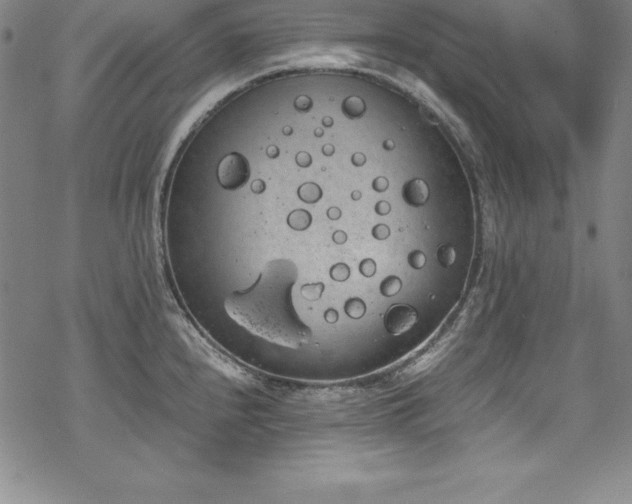 X0000069391240200605121203