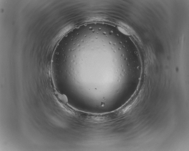 X0000069391241200605121203