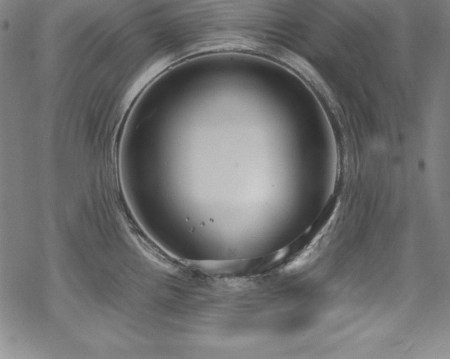 X0000069391242200605121203