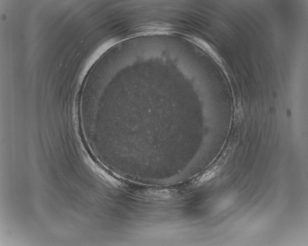 X0000069391243200605121203