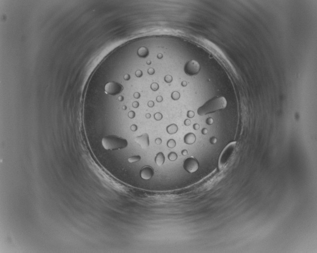 X0000069391244200605121203