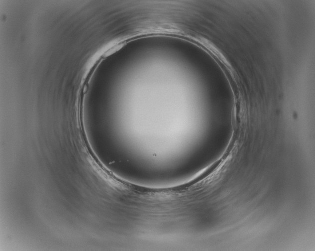 X0000069391246200605121203