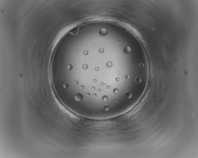 X0000069391247200605121203