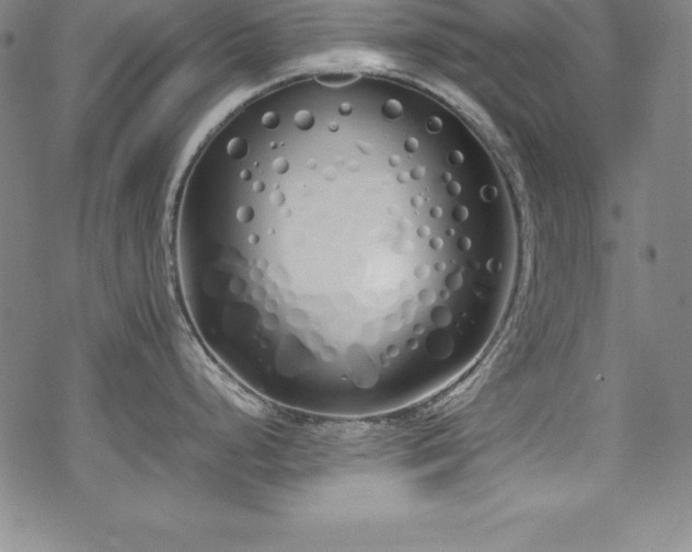 X0000069391248200605121203