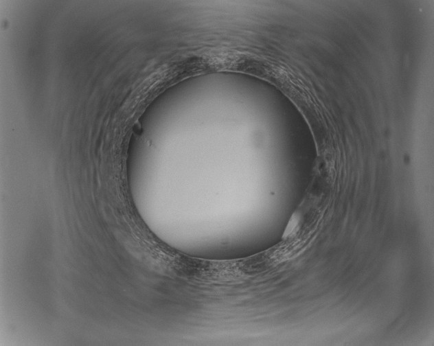 X0000069391249200605121202