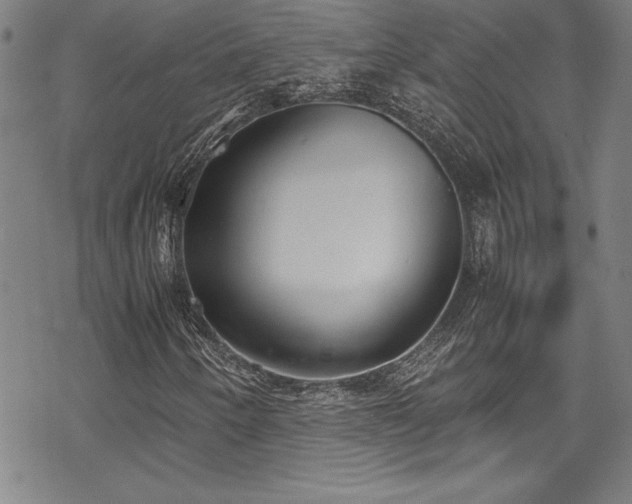 X0000069391250200605121202