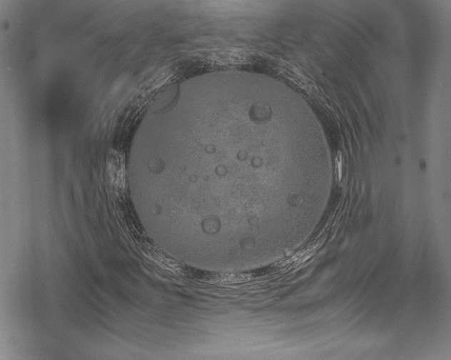 X0000069391251200605121202