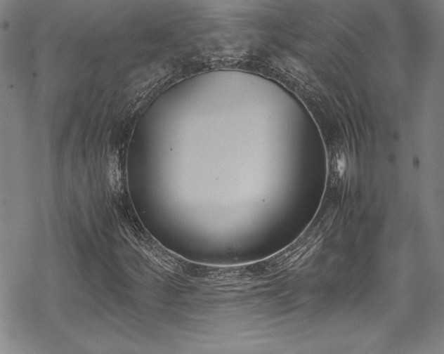 X0000069391252200605121202