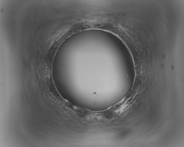 X0000069391253200605121202