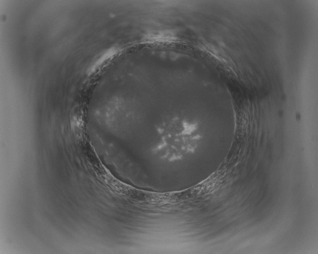 X0000069391254200605121202